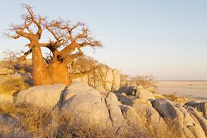 弗朗西斯敦（BWFRA）港口代碼查詢-弗朗西斯敦（BWFRA）港口簡(jiǎn)介