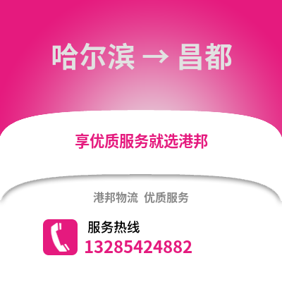 哈爾濱到昌都物流專線_哈爾濱到昌都貨運(yùn)專線公司
