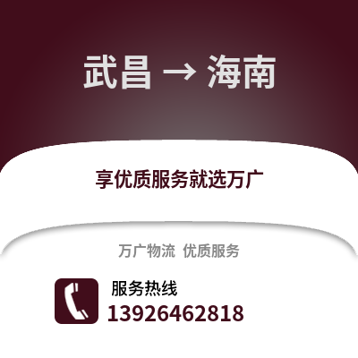 武漢武昌到海南物流專線_武漢武昌到海南貨運專線公司